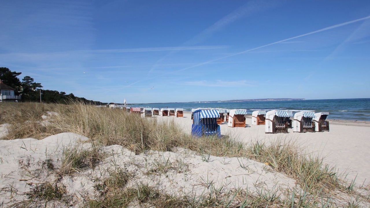 Photo of Others in Binz