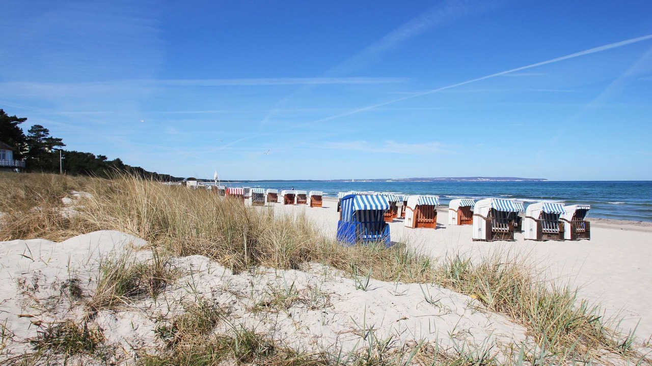 Photo of Others in Binz