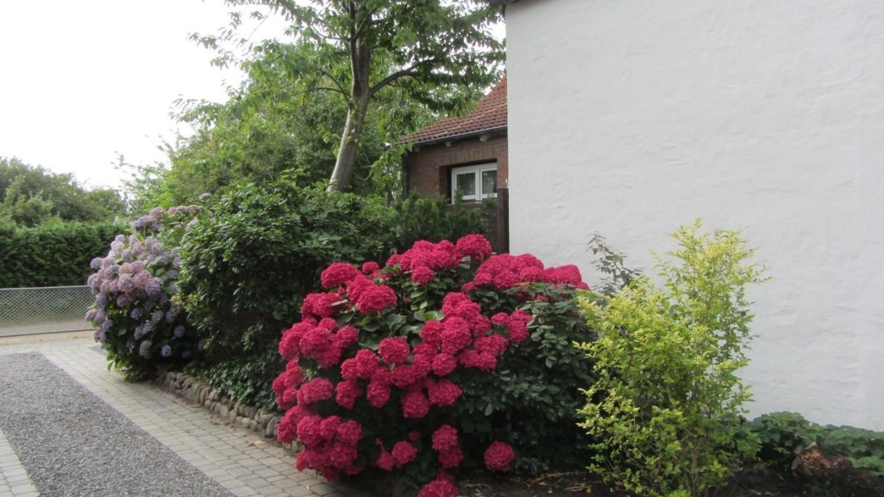 Photo of Outdoor in Wyk auf Foehr