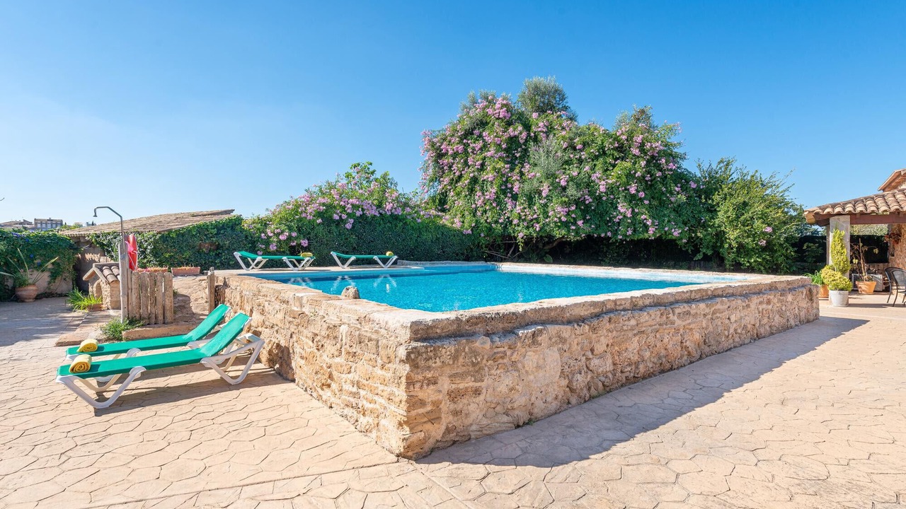 Photo of Others in Alcudia