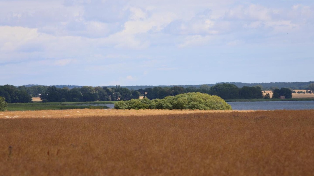 Photo of Others in Stolpe