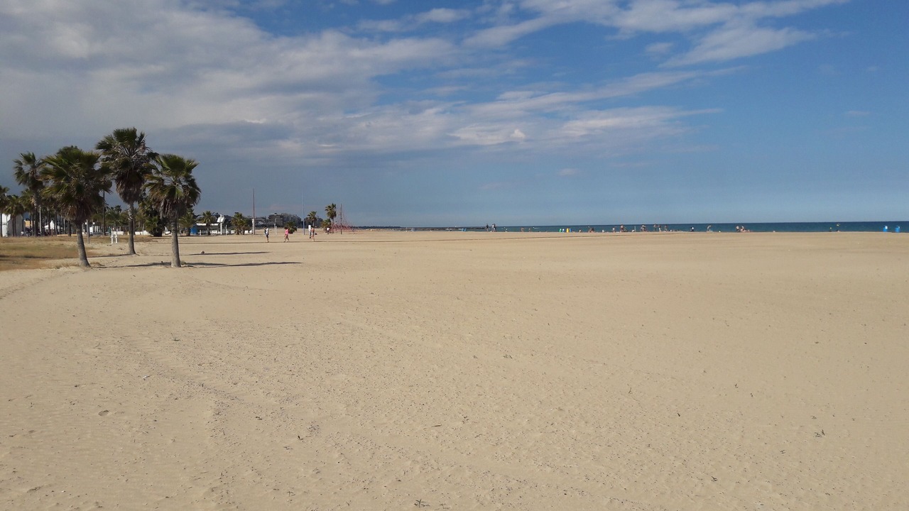 Photo of Others in Burriana