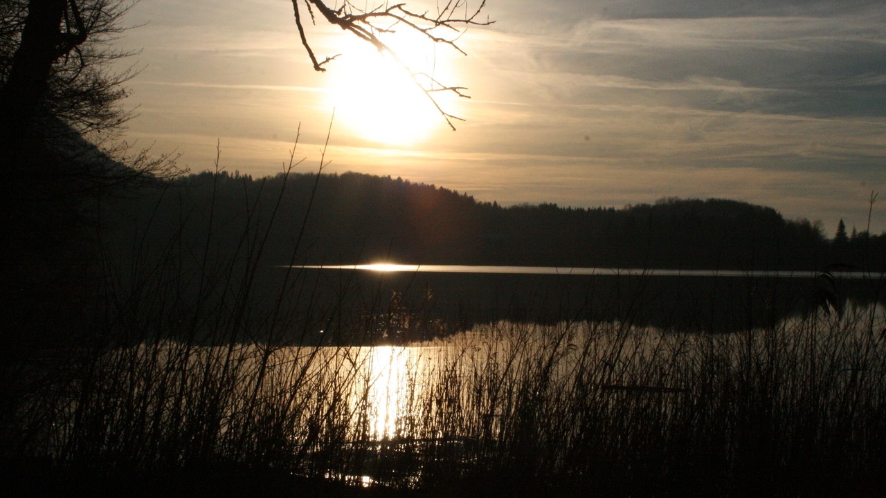 Photo of Others in Poligny