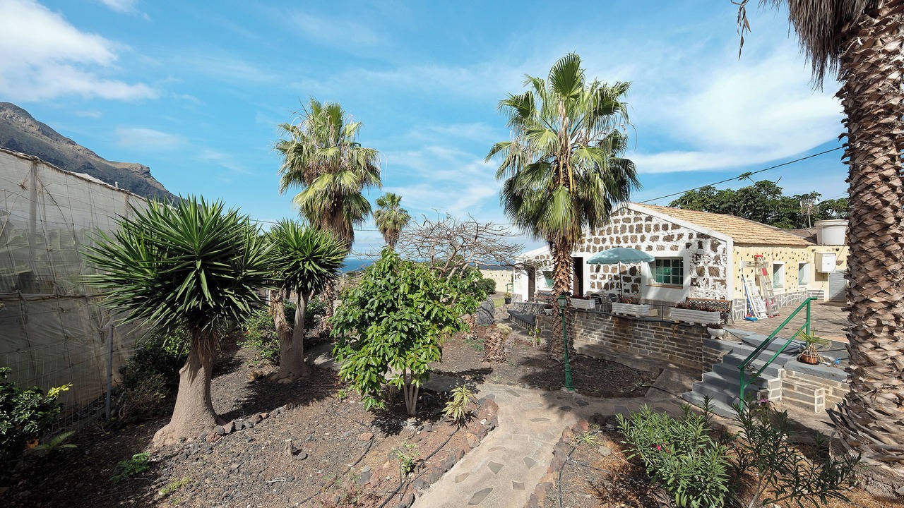 Photo of Outdoor in Buenavista del Norte