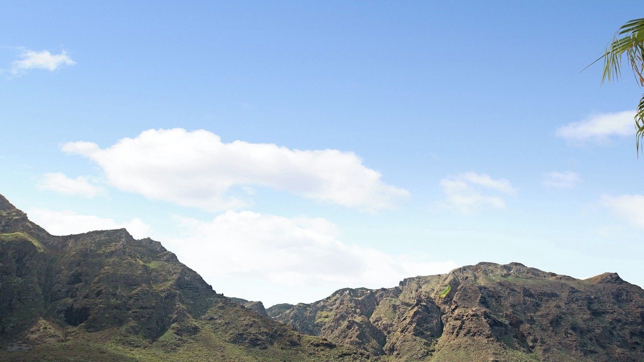 Photo of Others in Buenavista del Norte