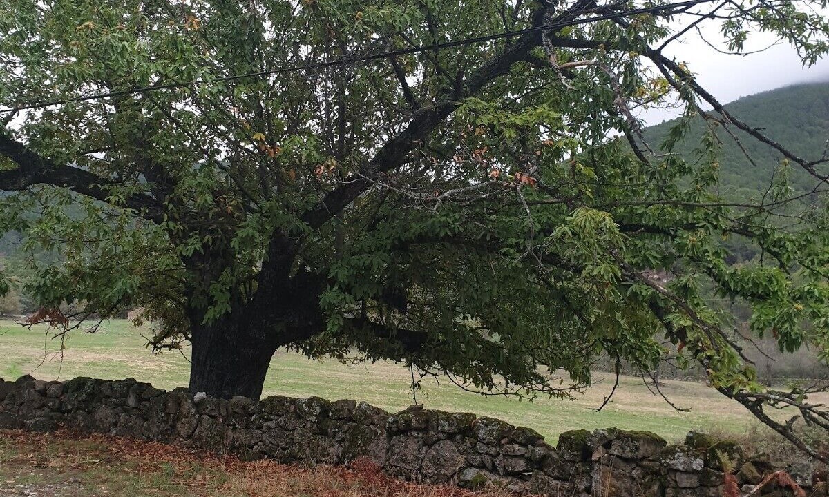 Photo of Outdoor in La Adrada