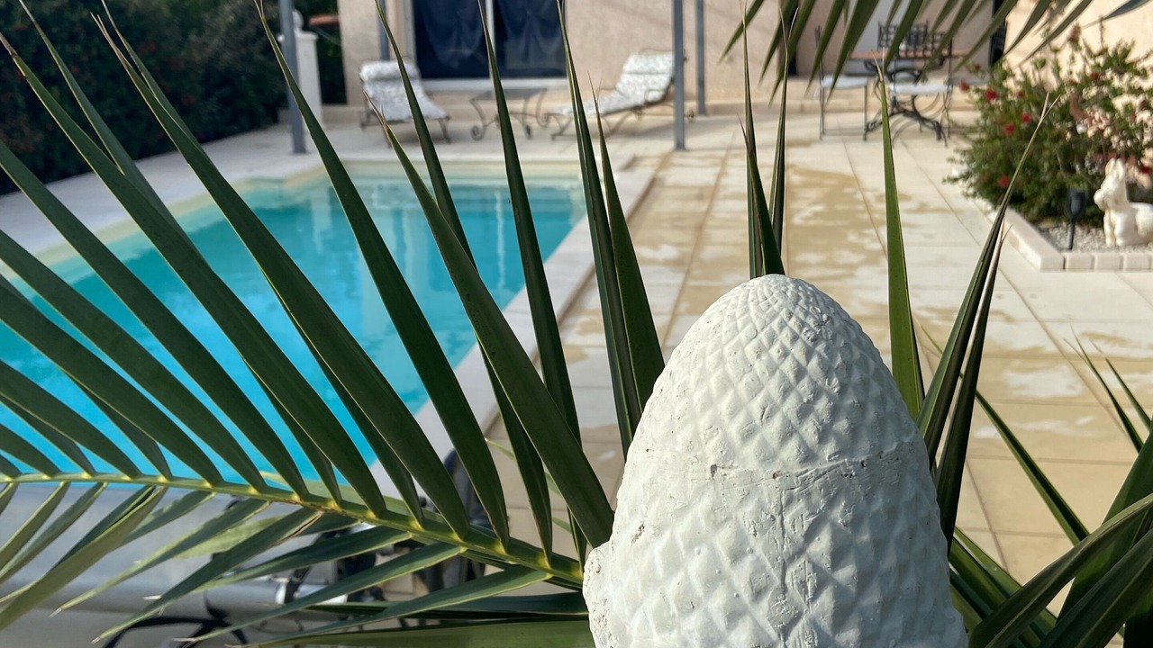 Photo of Outdoor in Violes
