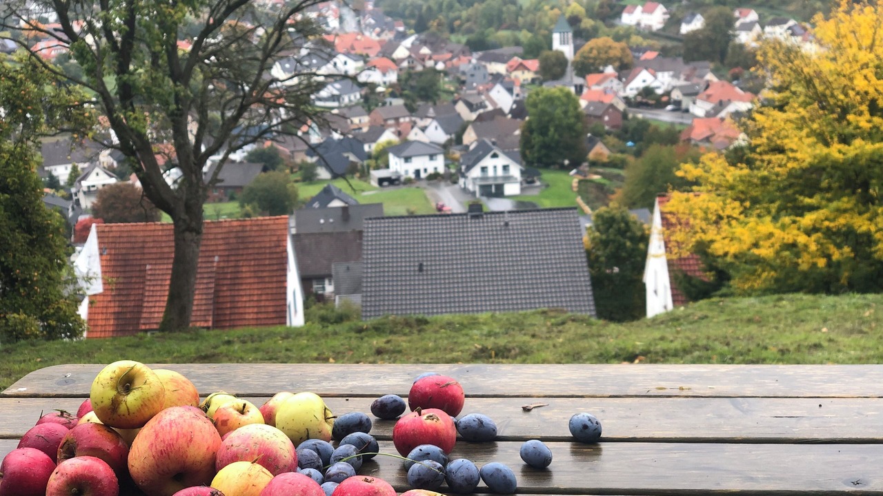 Photo of Others in Dalhausen