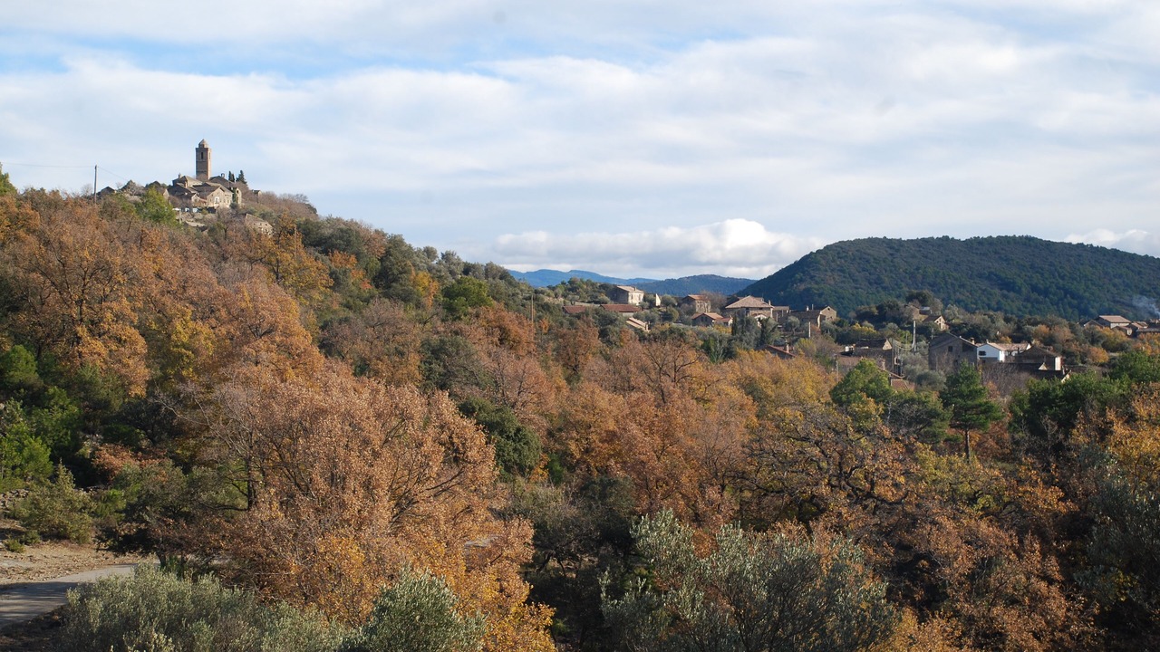 Photo of Others in Guaso