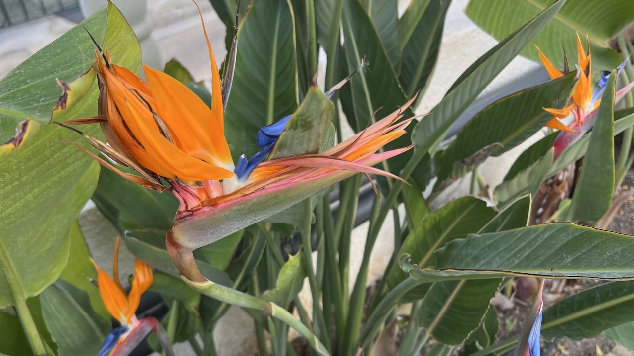 Photo of Outdoor in Oliva