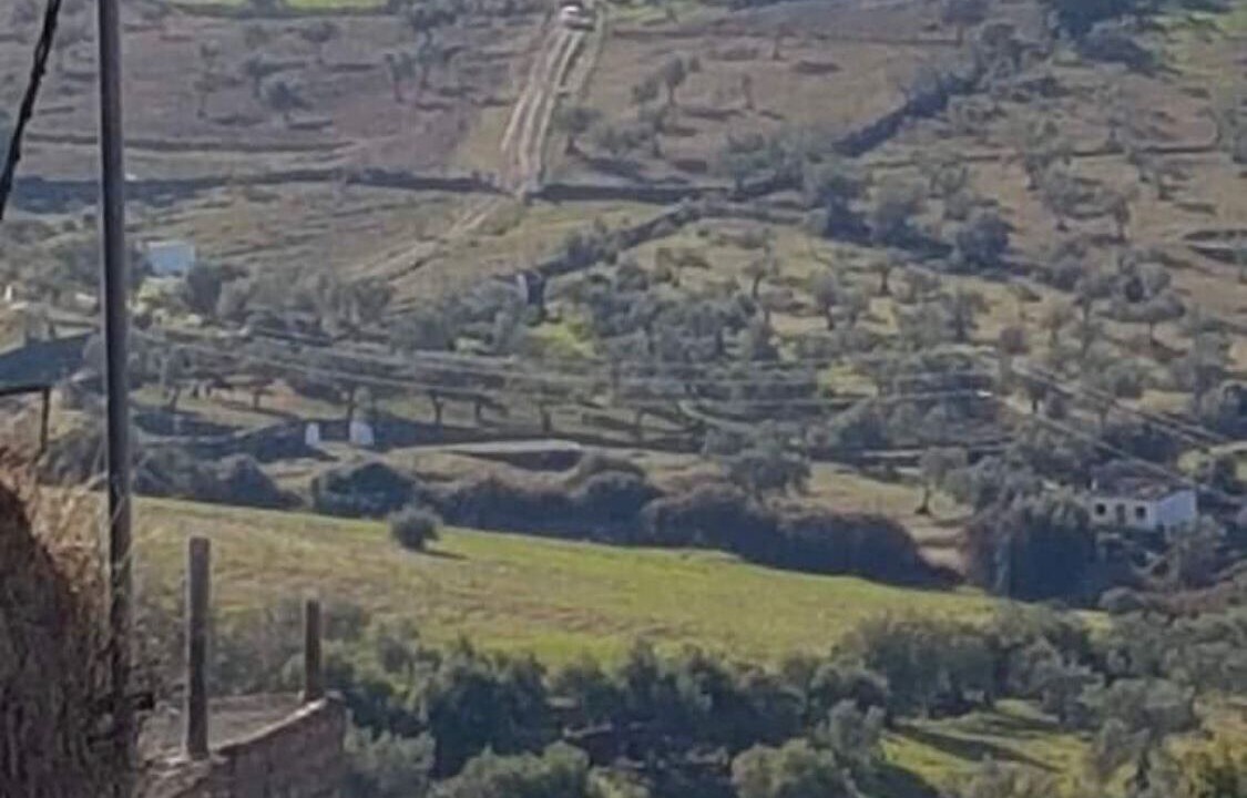 Photo of Others in Encinasola