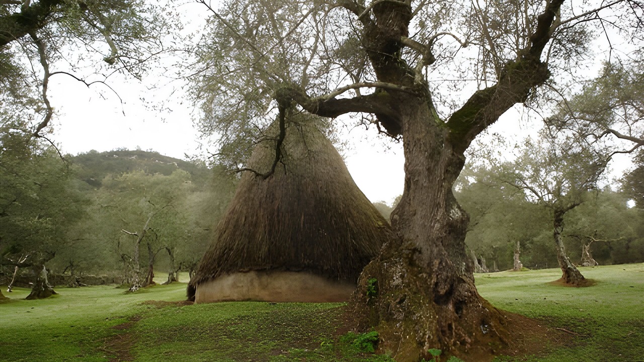 Photo of Others in Encinasola