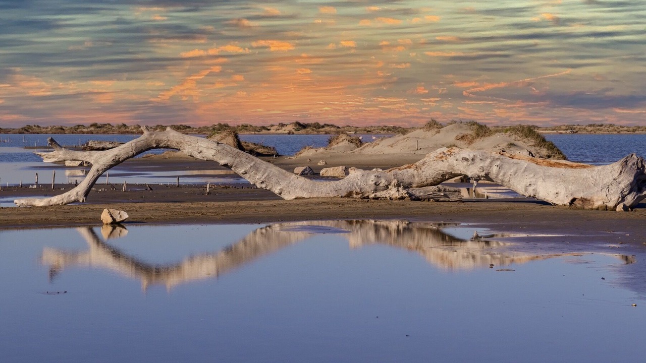 Photo of Others in Salin-de-Giraud