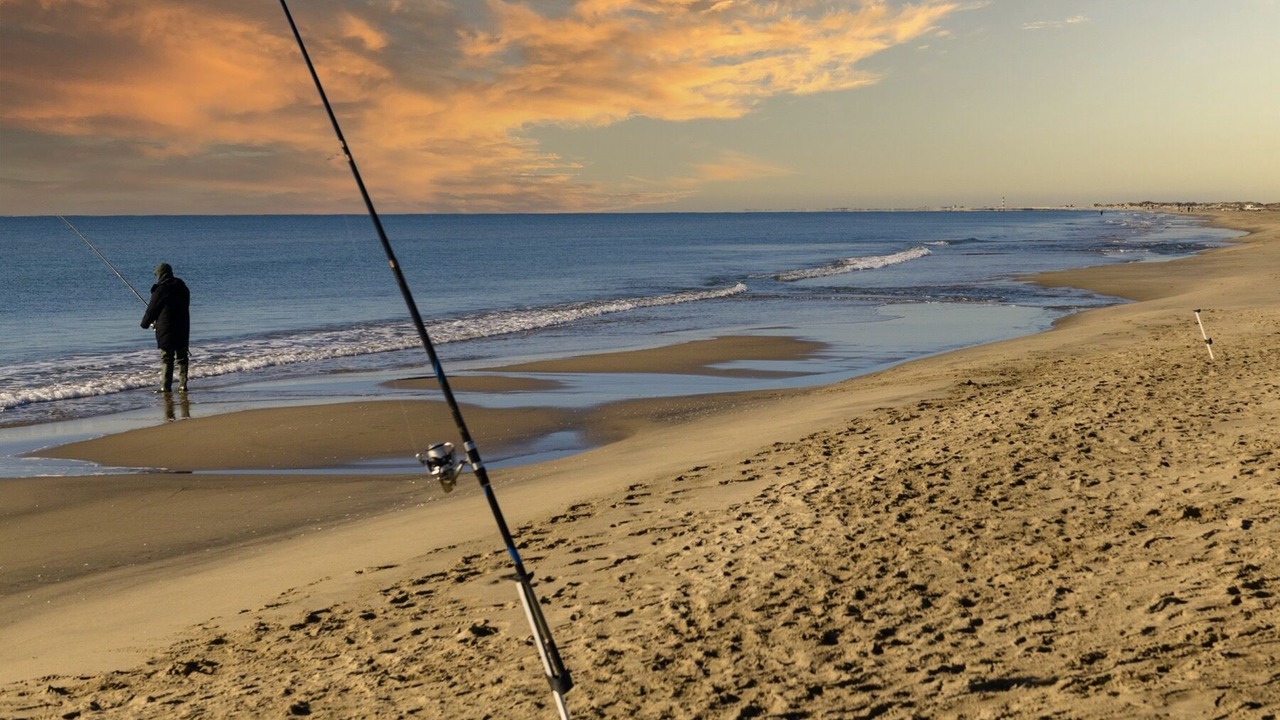 Photo of Others in Salin-de-Giraud