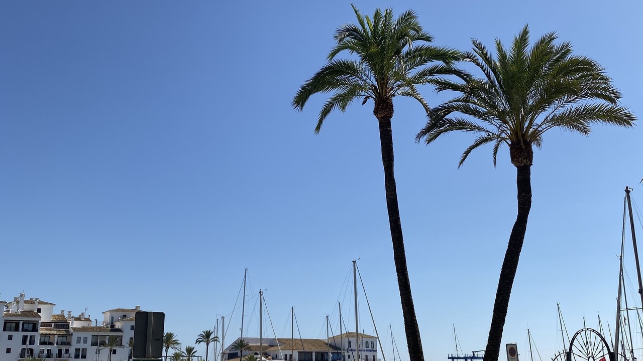 Photo of Others in Marina de Casares
