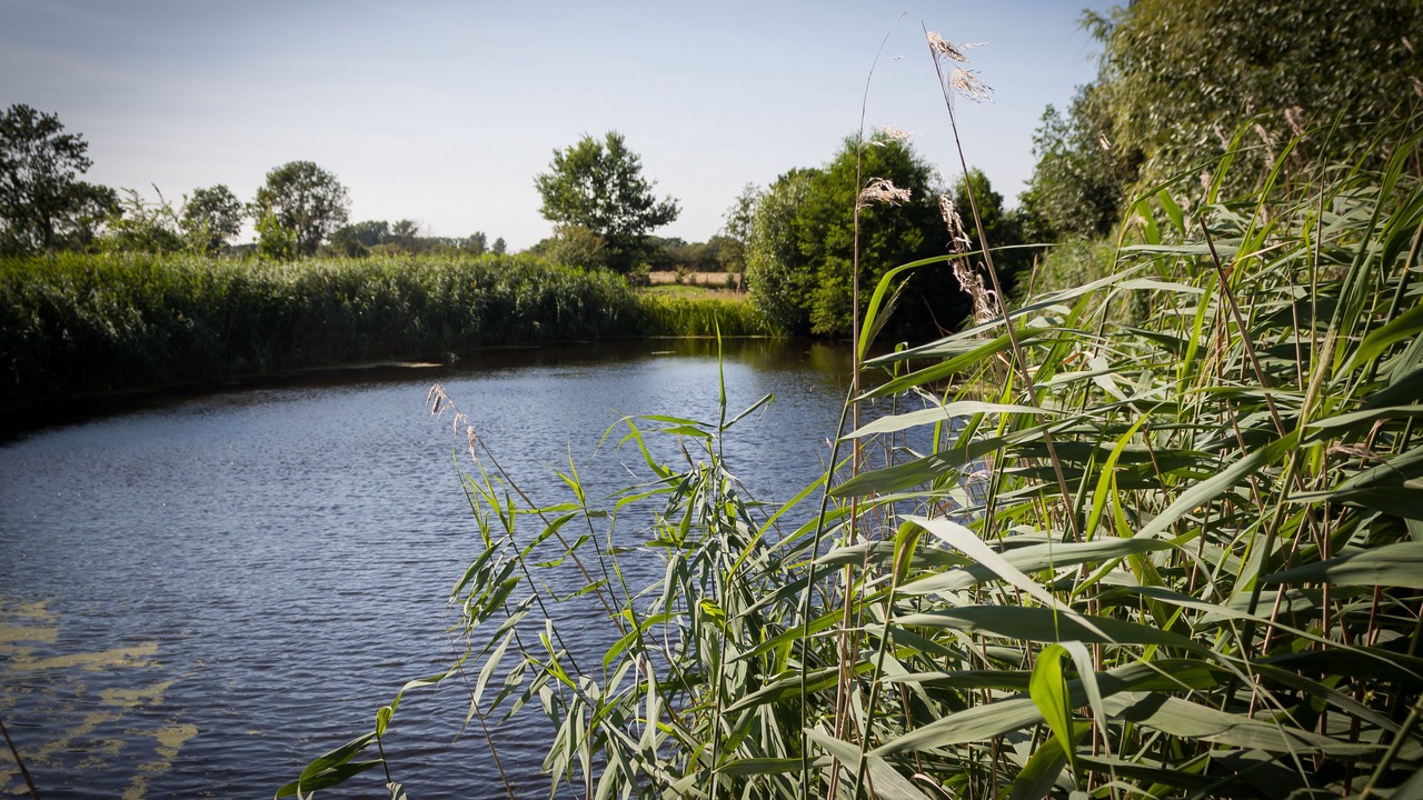 Photo of Outdoor in Marienstein