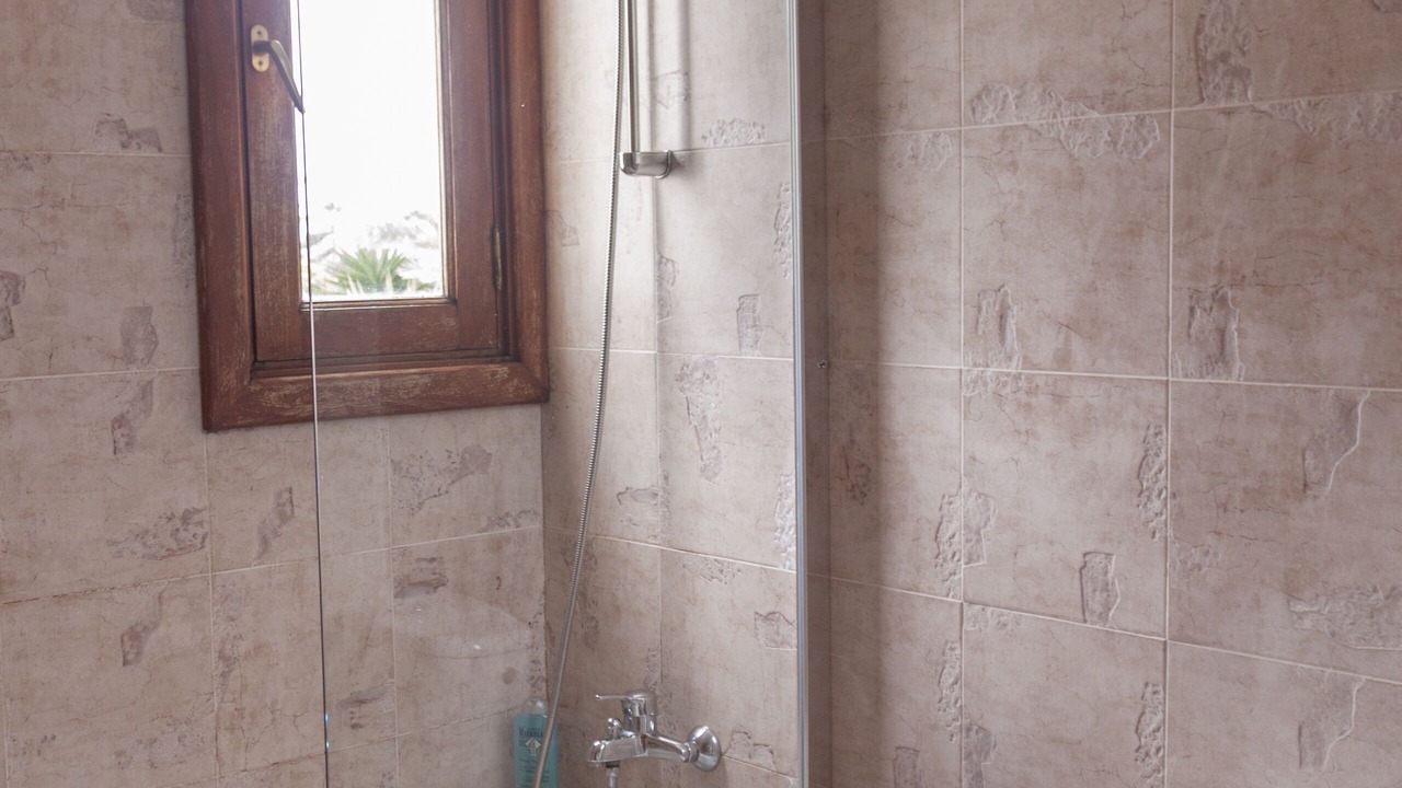 Photo of Bathroom in Charco del Palo