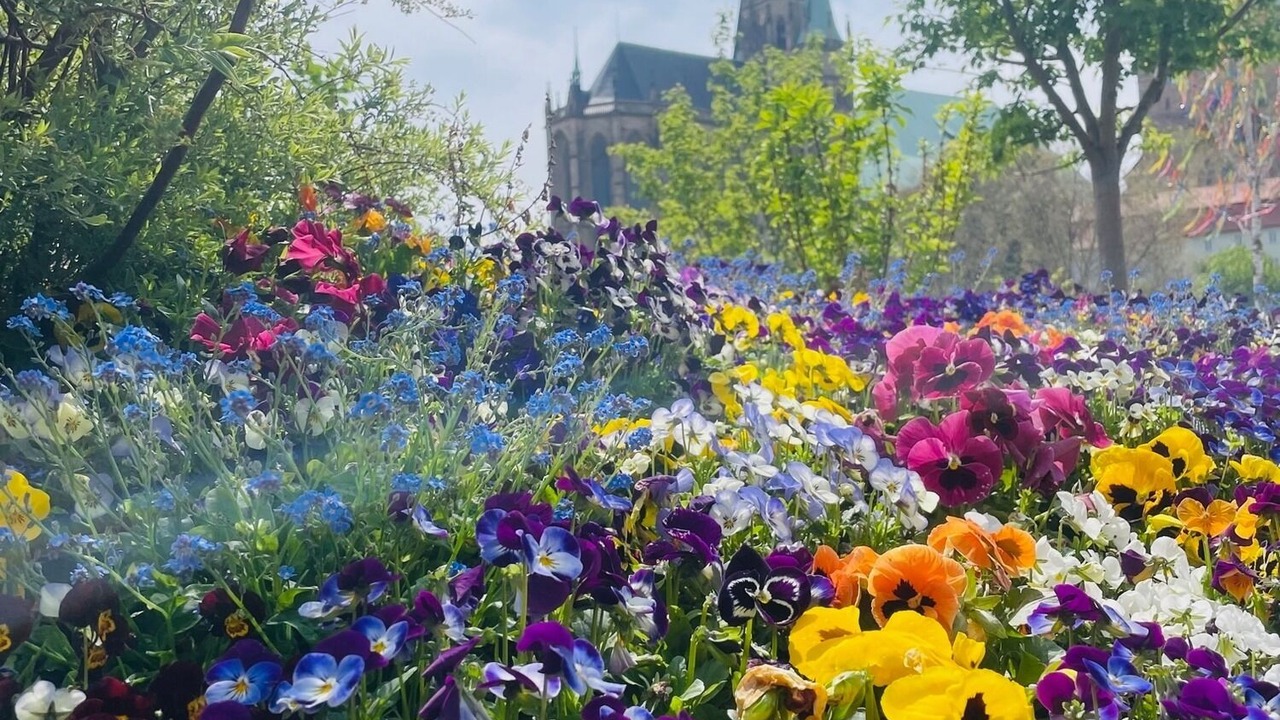 Photo of Outdoor in Krampfervorstadt