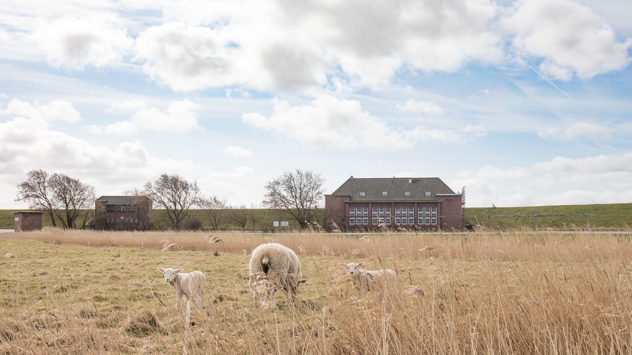 Photo of Outdoor in Hattstedtermarsch