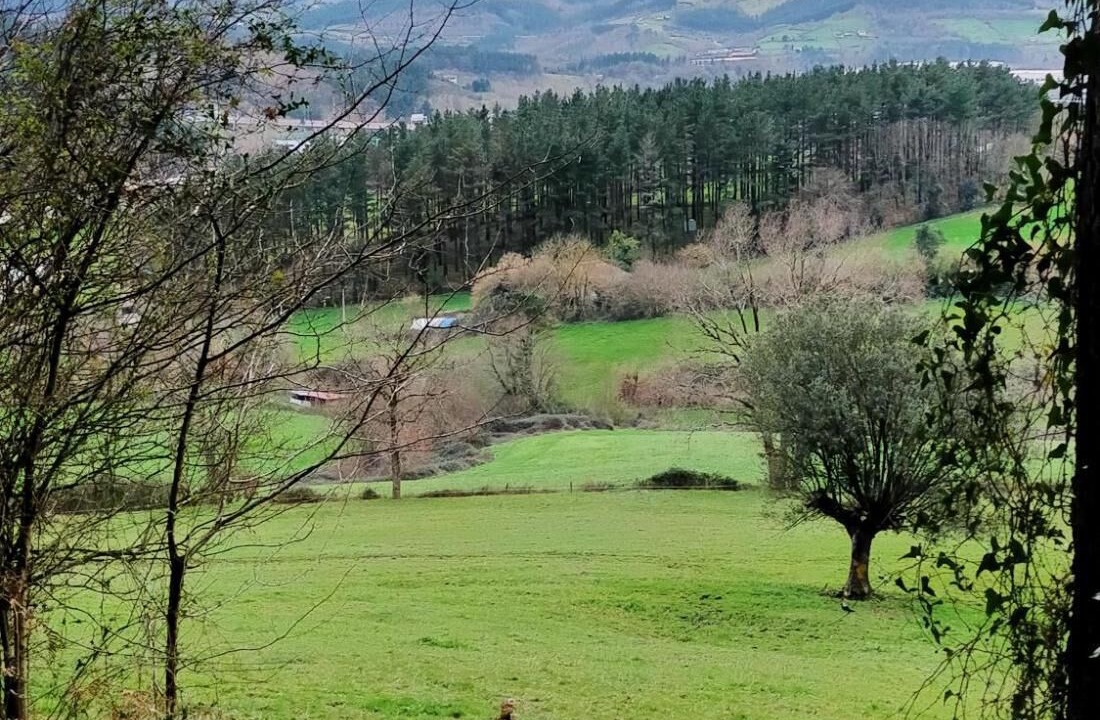 Photo of Outdoor in Berriz