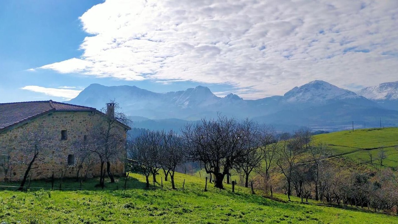 Photo of Others in Berriz