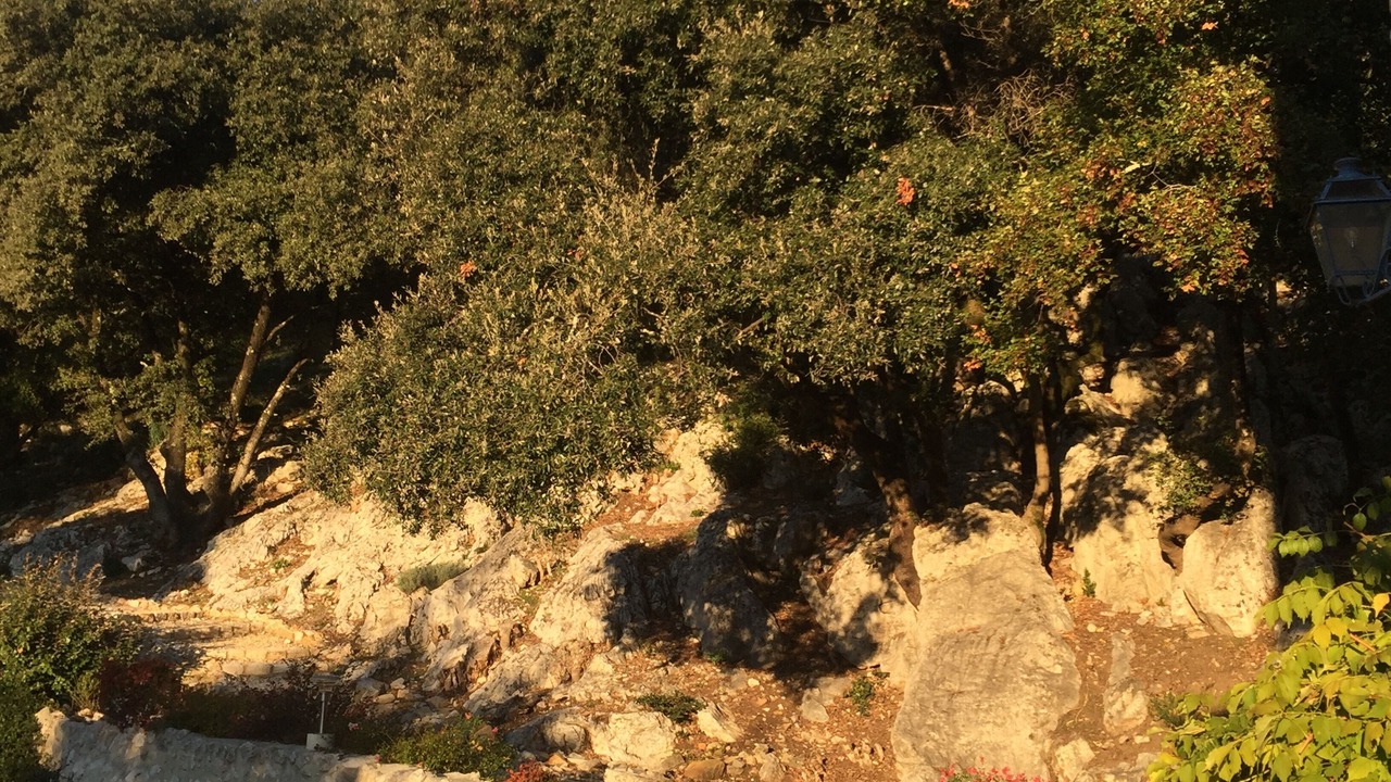 Photo of Outdoor in Salavas