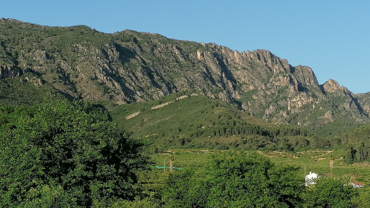 Photo of Outdoor in Alzira