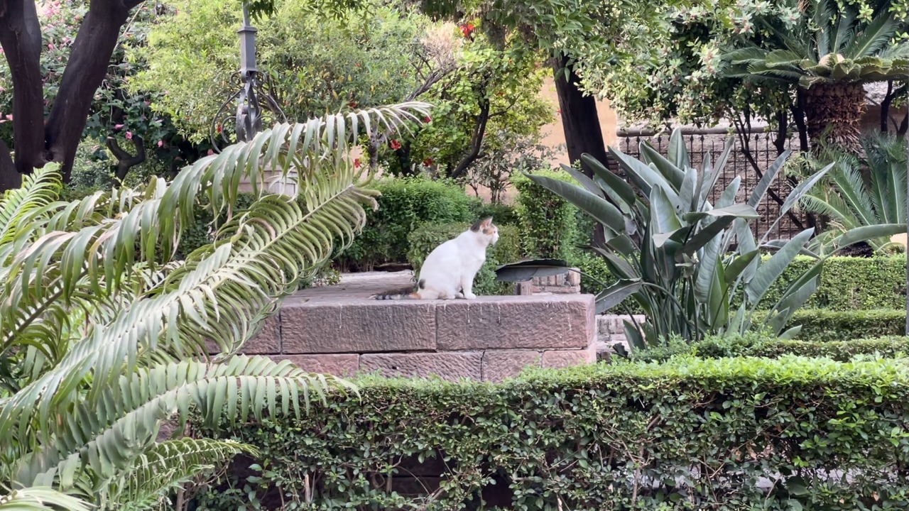 Photo of Outdoor in Centro