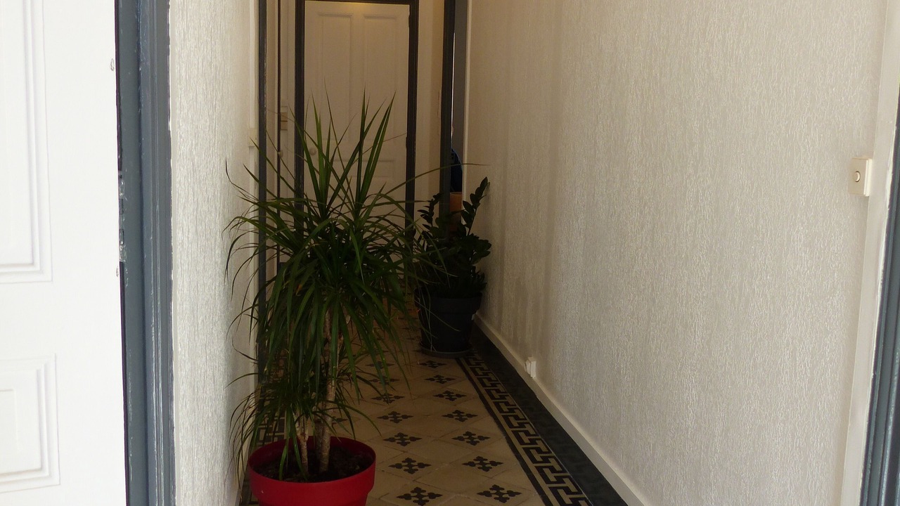 Photo of Others in Route d'Arles