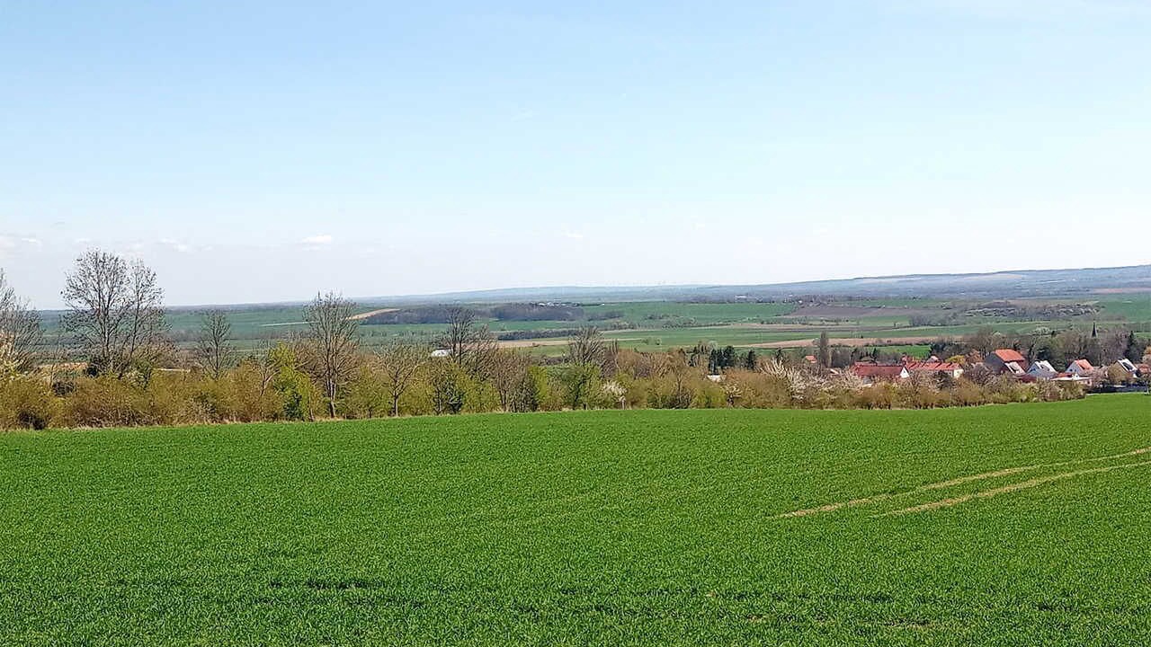 Photo of Outdoor in Schoeningen