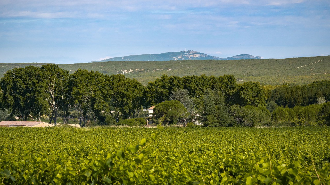 Photo of Outdoor in Saint-Siffret
