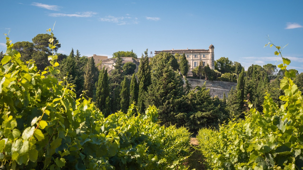 Photo of Outdoor in Saint-Siffret