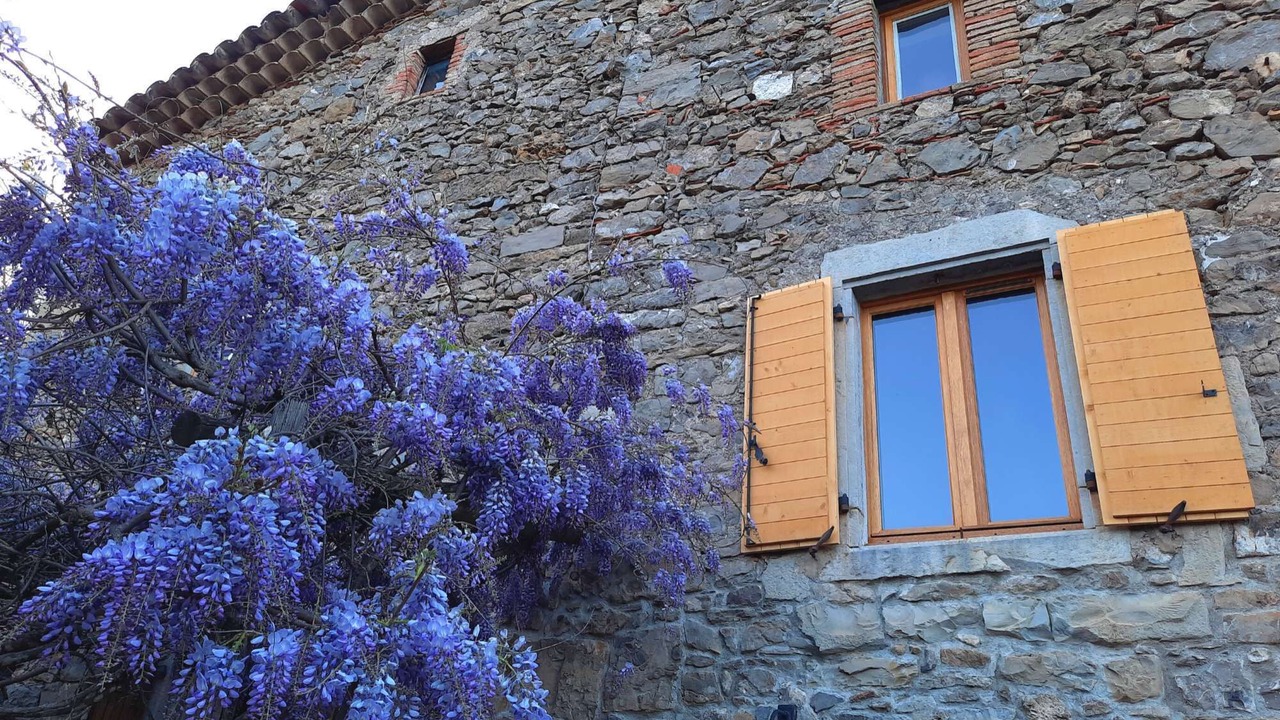 Photo of Outdoor in Cros
