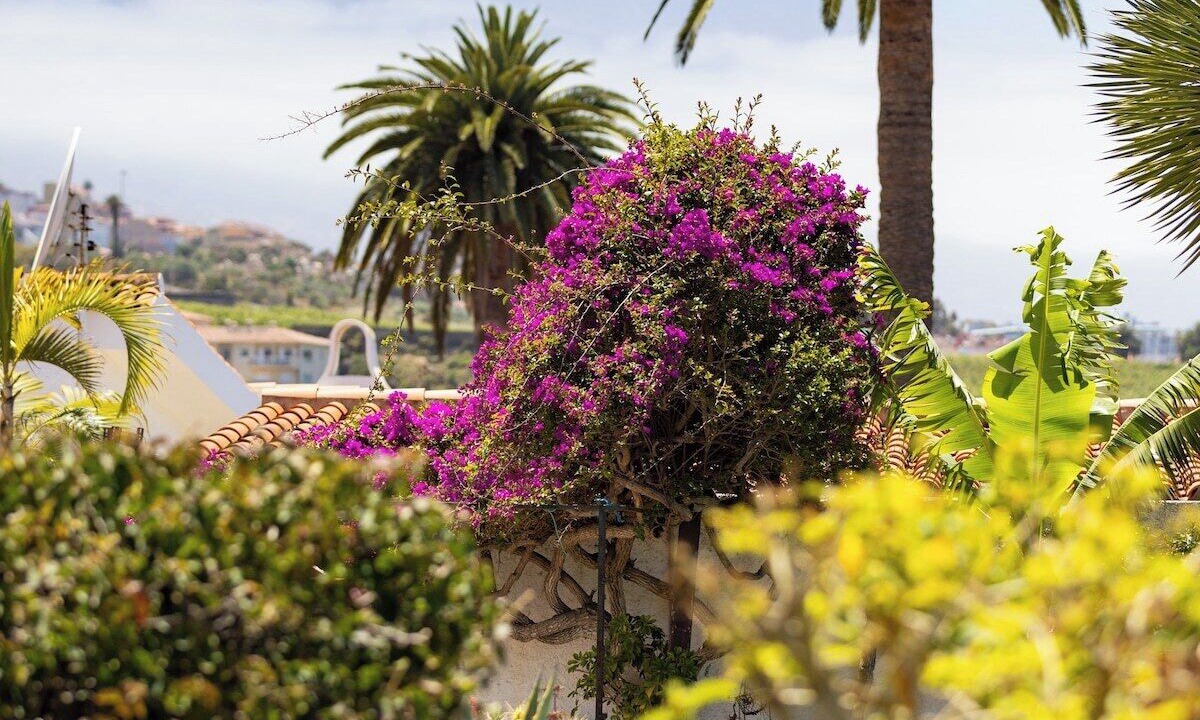 Photo of Outdoor in La Victoria de Acentejo