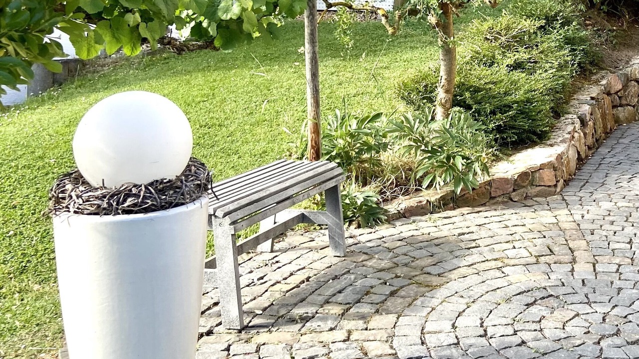 Photo of Outdoor in Mainz-Bingen