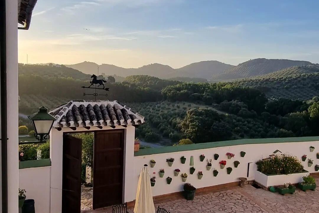 Photo of Outdoor in Las Lagunillas