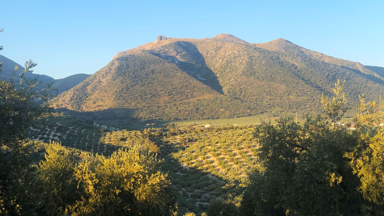 Photo of Others in Las Lagunillas