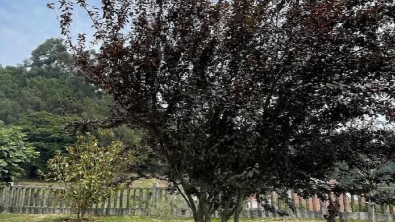 Photo of Outdoor in Tui