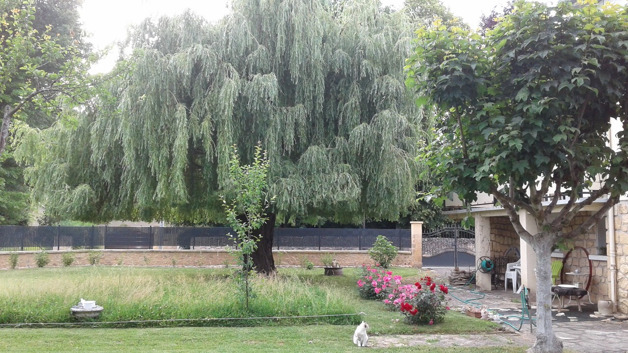 Photo of Outdoor in Montignac