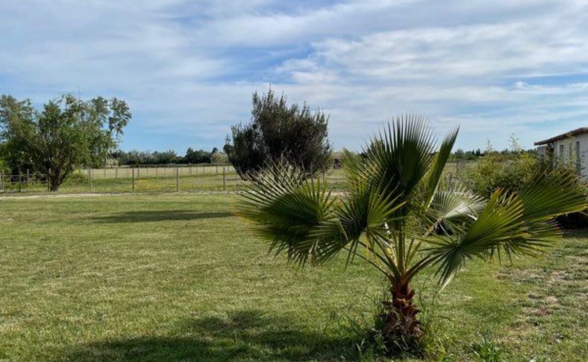Photo of Outdoor in Arles