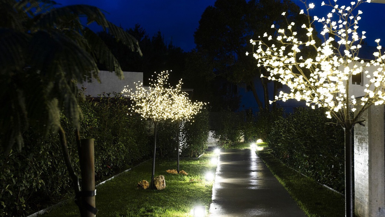 Photo of Outdoor in Hondarribia