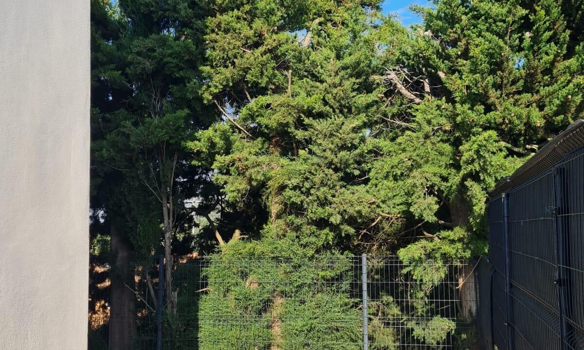 Photo of Outdoor in Chateauneuf-de-Gadagne