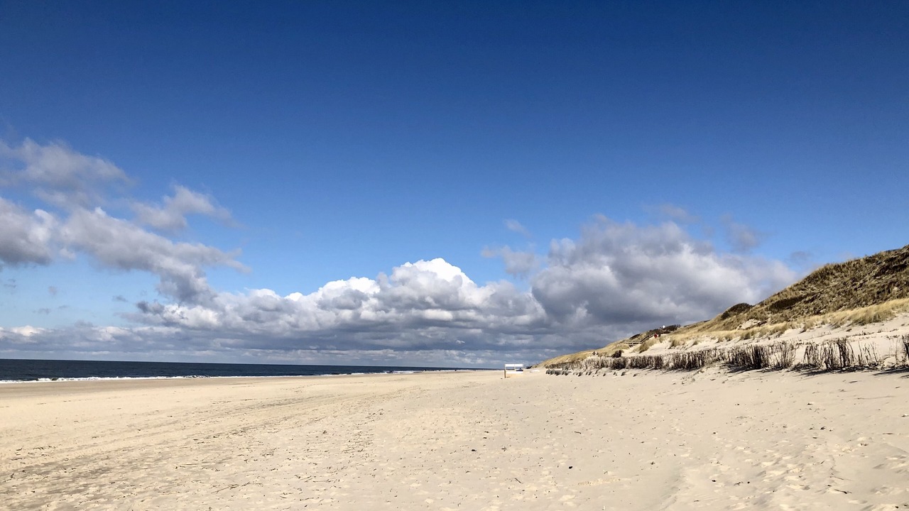 Photo of Others in Westerland
