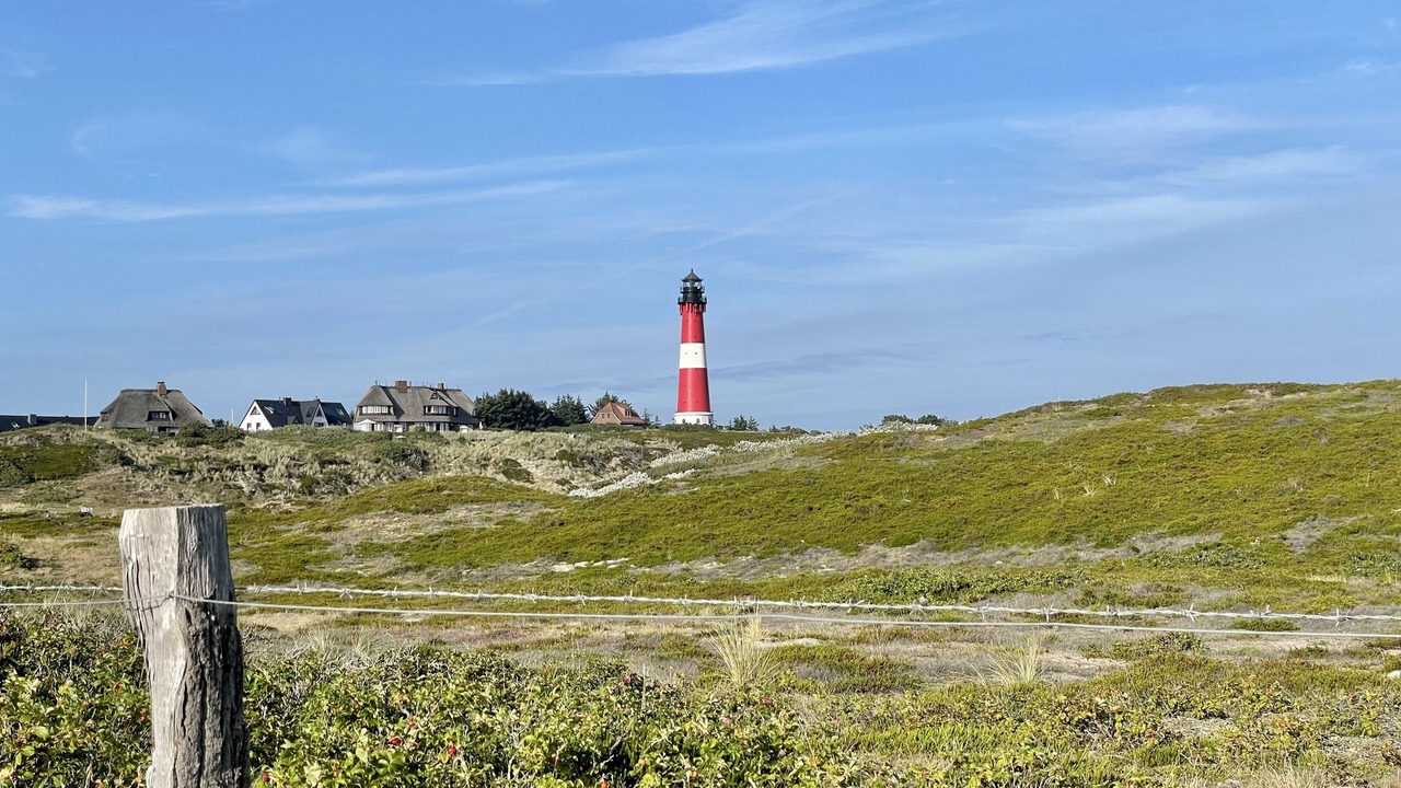 Photo of Others in Westerland