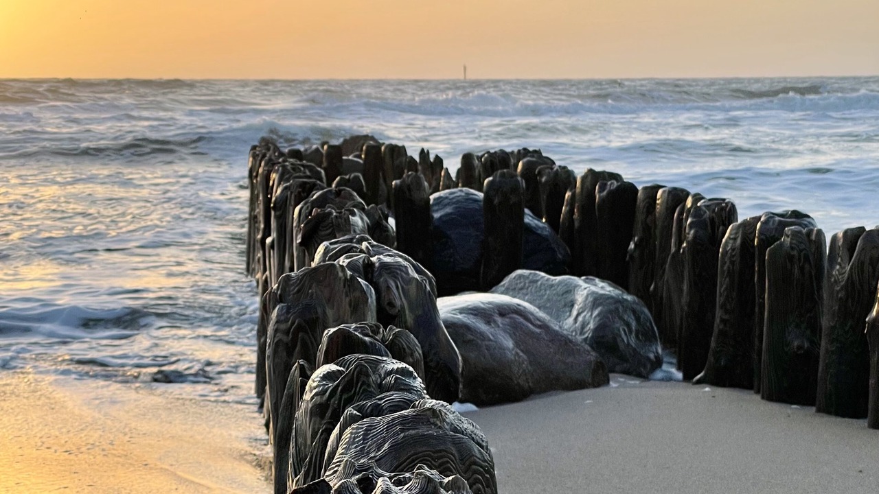 Photo of Others in Westerland