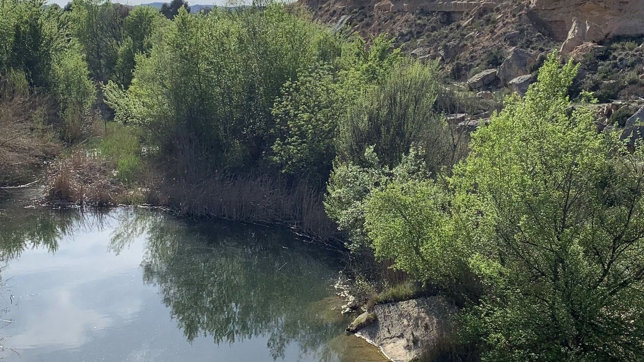 Photo of Others in Caspe