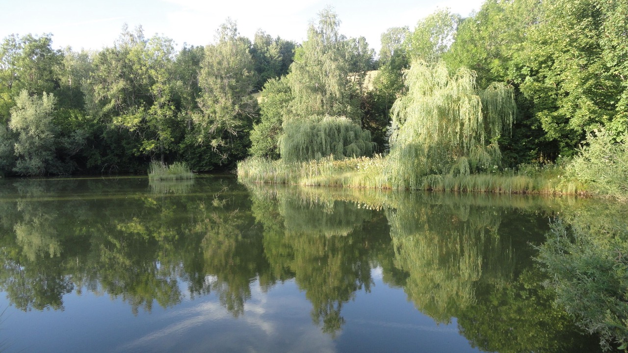 Photo of Outdoor in Paroisse des Monts de Bienne
