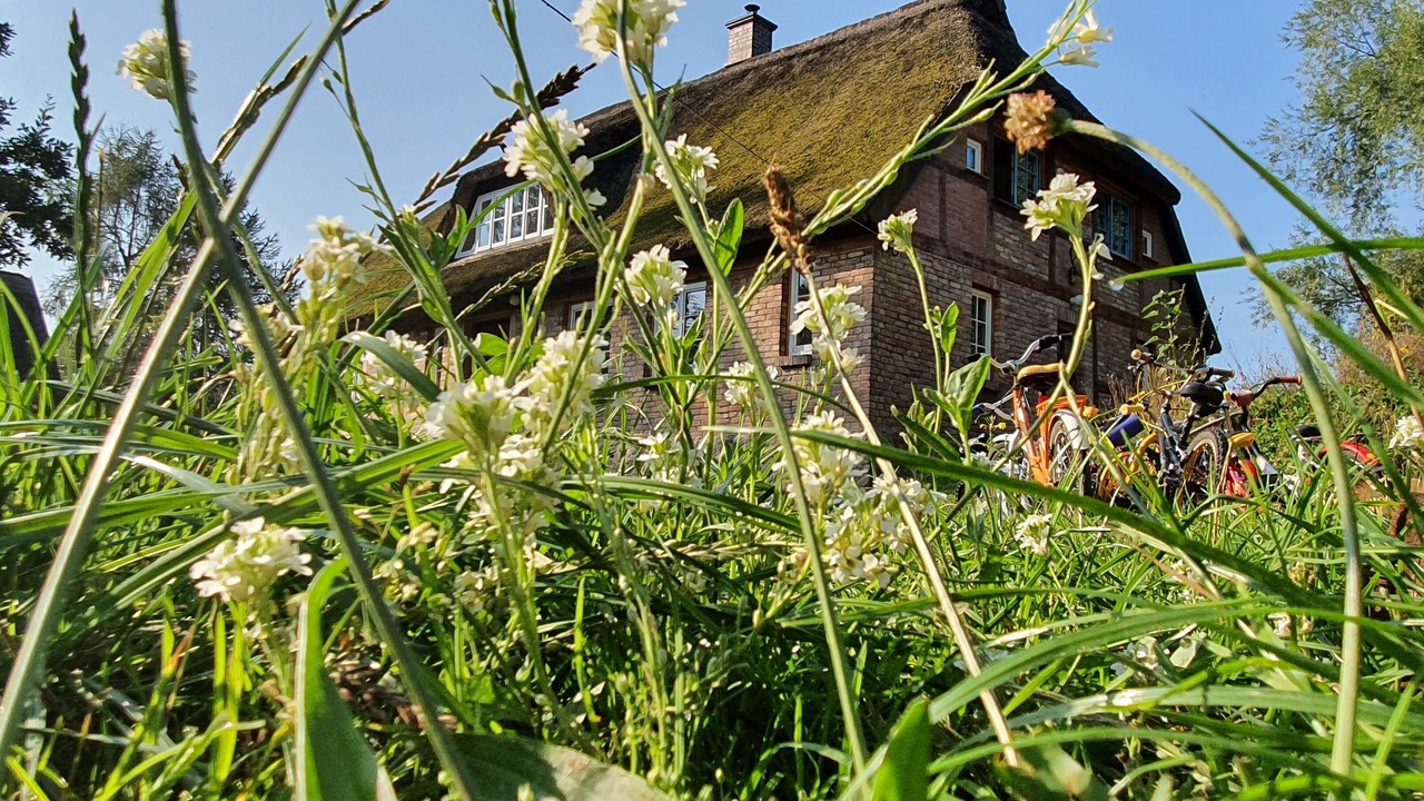 Photo of Outdoor in Pantow