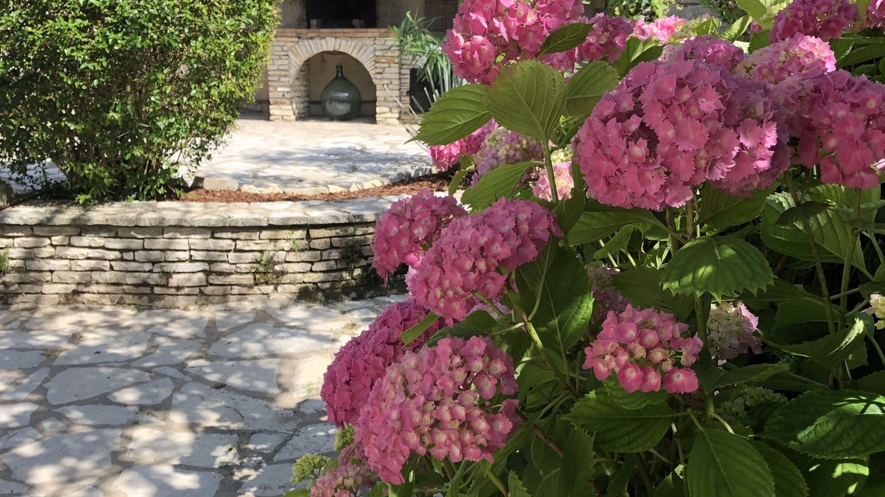 Photo of Outdoor in Marssac-sur-Tarn