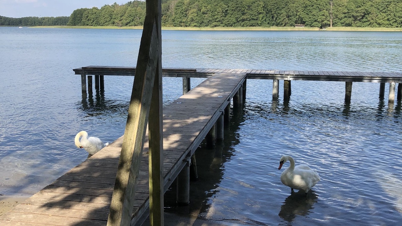 Photo of Others in Rheinsberg